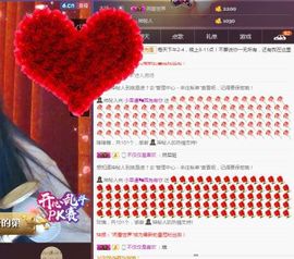 58426685主播照片