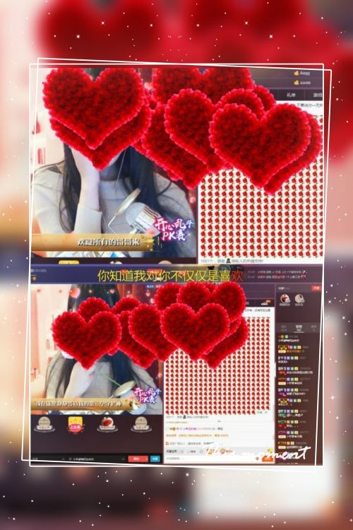 58426685主播照片