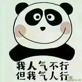 ♬天使じ招财御猫主播照片