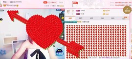 一只雁~主播照片