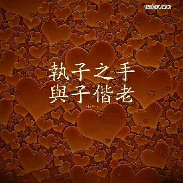 刘团伟.的主播照片