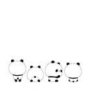 A.🦄Sky丶宝
