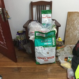 白眼猪😌漠漠陪伴主播照片