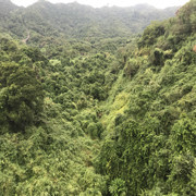 不一样的风景…