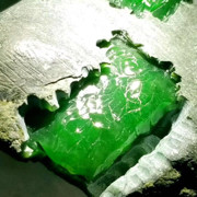 羽绿翡翠的头像
