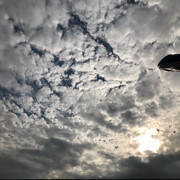 在听已是曲中人海报