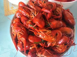 ღ佳儿ღ主播照片