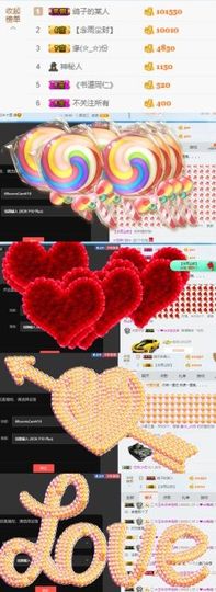 海鸽晚上见主播照片
