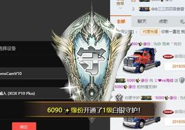 海鸽晚上见主播照片