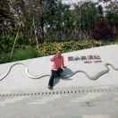 音乐模仿秀专业歌手的主播照片