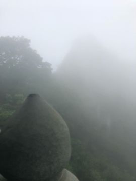 田熙苒主播照片