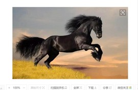 大自然一一一主播照片