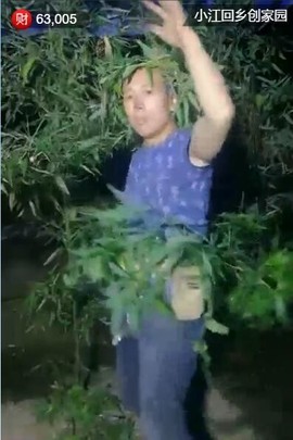 大自然一一一主播照片