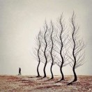 人生v*r海报