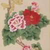 小华_smile_