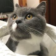 J1ang❣钱多多