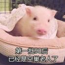 [Theheawu
