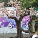 LC陪伴MY