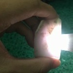 09哥～海报