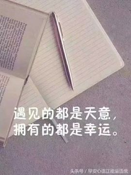 🌹✨……主播照片