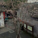 流浪的云25