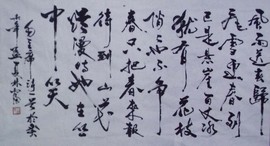 bai晓林主播照片