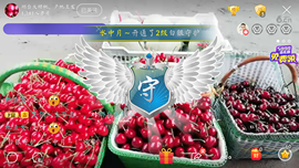 敏er♡“”主播照片