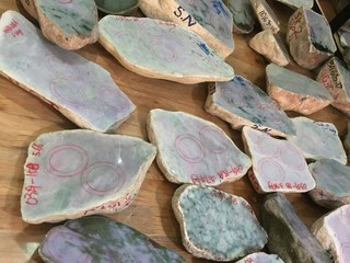 德宁润海8主播照片
