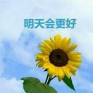 明天会更好7的头像