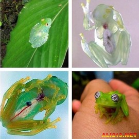 白眼猪😌漠漠陪伴主播照片