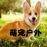 狗哥带你逛萌宠乐园