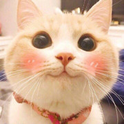 深山里的妖兽