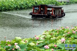 白眼猪😌漠漠陪伴主播照片