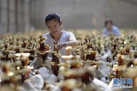 白眼猪😌漠漠陪伴主播照片