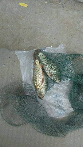 艾玛失踪人口主播照片