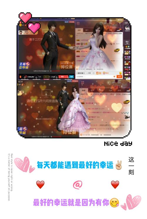 58426685主播照片