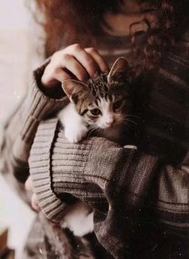 🐾笑笑🐾主播照片