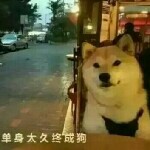 寂寞誰人懂海报