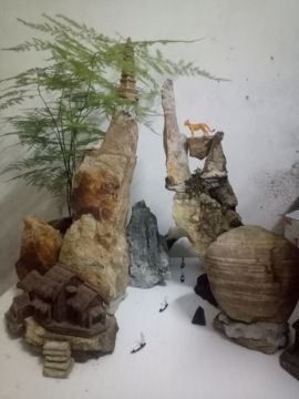 bai晓林主播照片