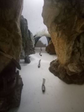 bai晓林主播照片