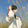 。。。vtc