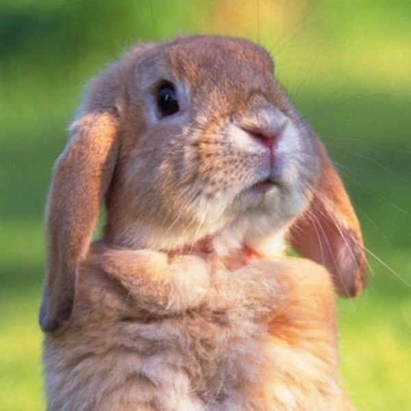 ✨baby🌙的主播照片