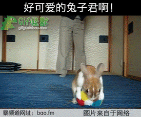 ✨baby🌙的主播照片