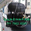 春节19973626海报