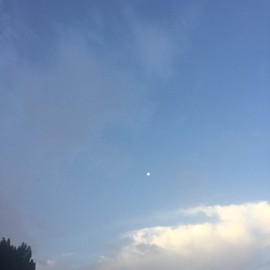 白眼猪😌漠漠陪伴主播照片
