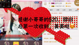 菲菲又停播了主播照片