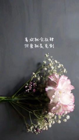 🐾笑笑🐾主播照片