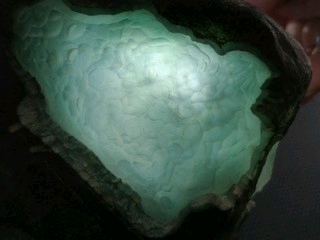 爱吃玉米的猴子。主播照片