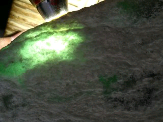 随风飘扬r5主播照片