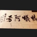 蚂蚁阿奇_张杨璐🎀的头像